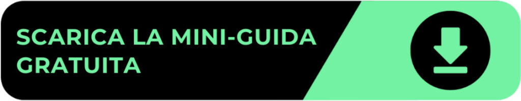 MINI GUIDA